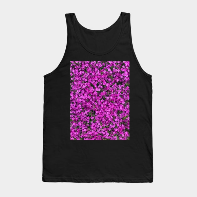 A carpet of pink creeping phlox blossoms Tank Top by Steves-Pics